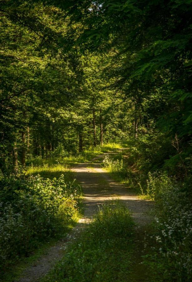 Ferienwohnung Kuca Za Odmor Poppke Fericanci Exterior foto